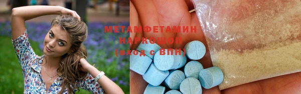трава Ельня