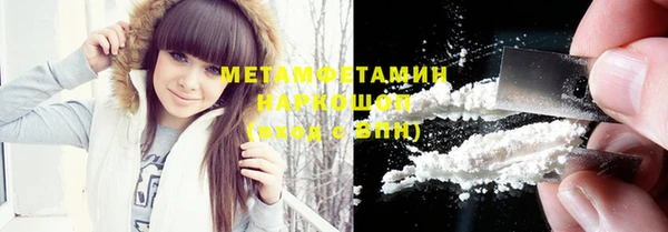 трава Ельня