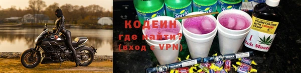 трава Ельня