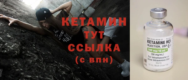 трава Ельня