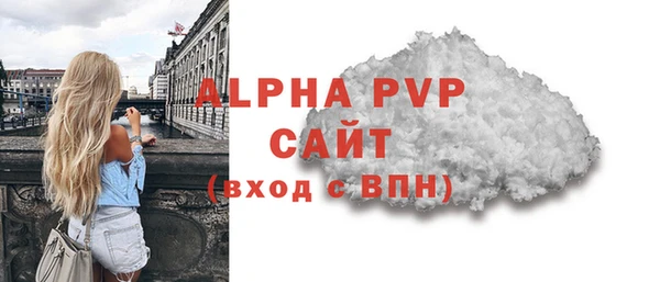 трава Ельня