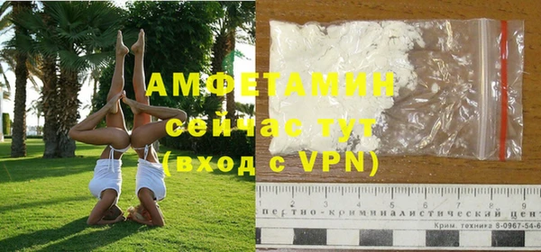 трава Ельня