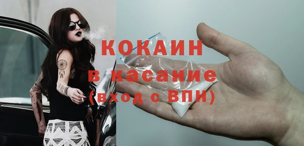 трава Ельня