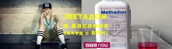 трава Ельня