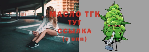 трава Ельня