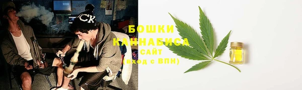 трава Ельня