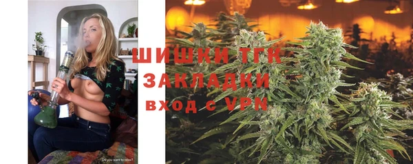 твердый Елабуга