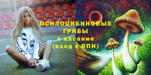 винт Елизово