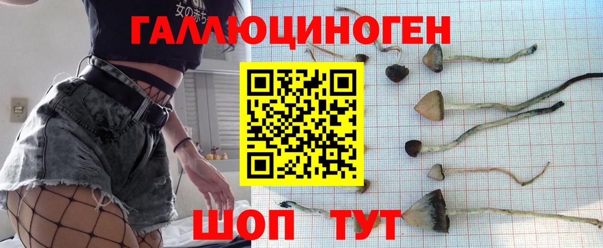 Псилоцибиновые грибы прущие грибы  Вход с VPN  Карачаевск 